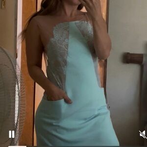 BCBG Max Azria Lace Sheer Panel Dress – Mint & Nude